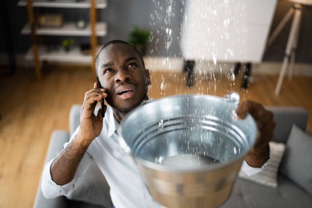 Best Mold removal after water damage  in Boise City, OK