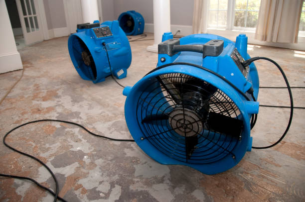 Best Flooded house restoration  in Boise City, OK