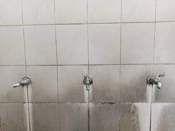 Best Local water damage restoration  in Boise City, OK